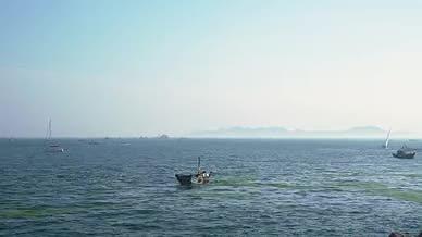 大海船舶打捞渔船浒苔视频的预览图